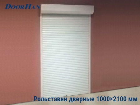 Рольставни на двери 1000×2100 мм в Ярославле от 34993 руб.