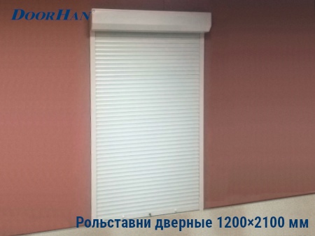 Рольставни на двери 1200×2100 мм в Ярославле от 38546 руб.