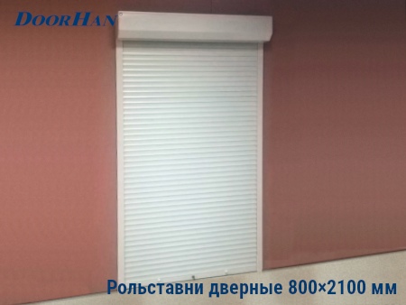 Рольставни на двери 800×2100 мм в Ярославле от 31440 руб.